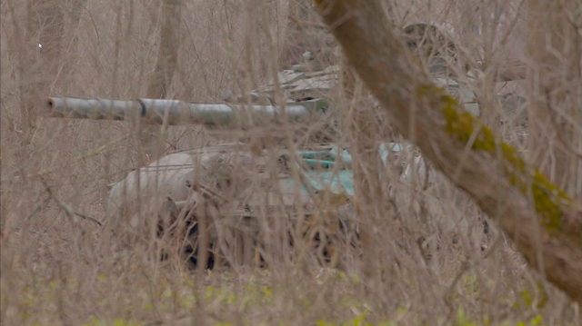 Tank Hiding In The Trees